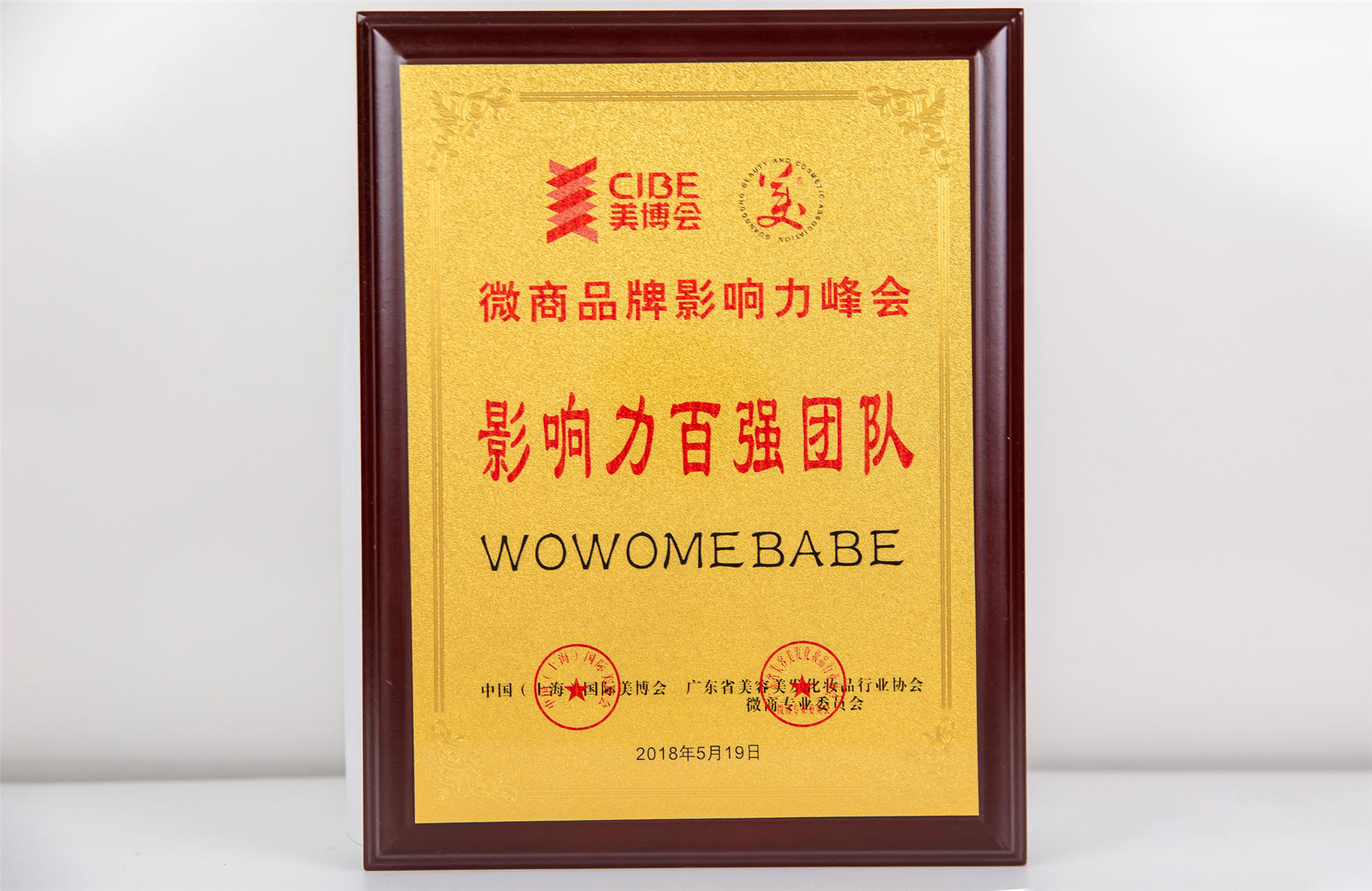 中國（上海）國際美博會影響力百強(qiáng)團(tuán)隊